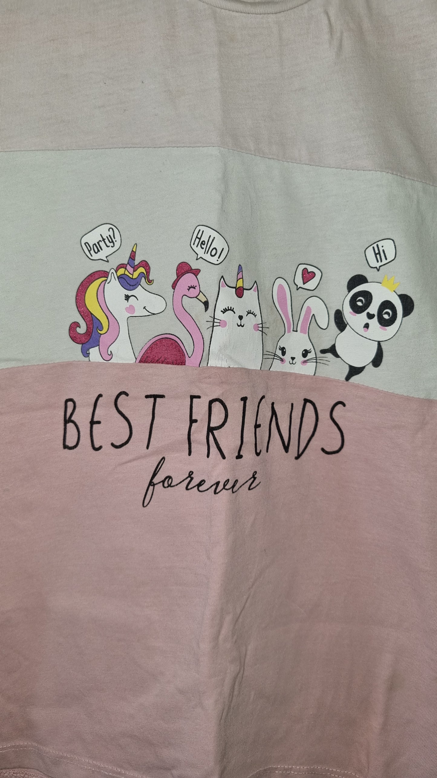 Best Friends T-Shirt