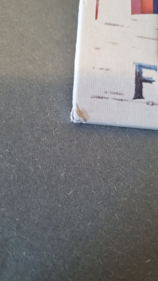 Eisprinzessinnen Puzzel