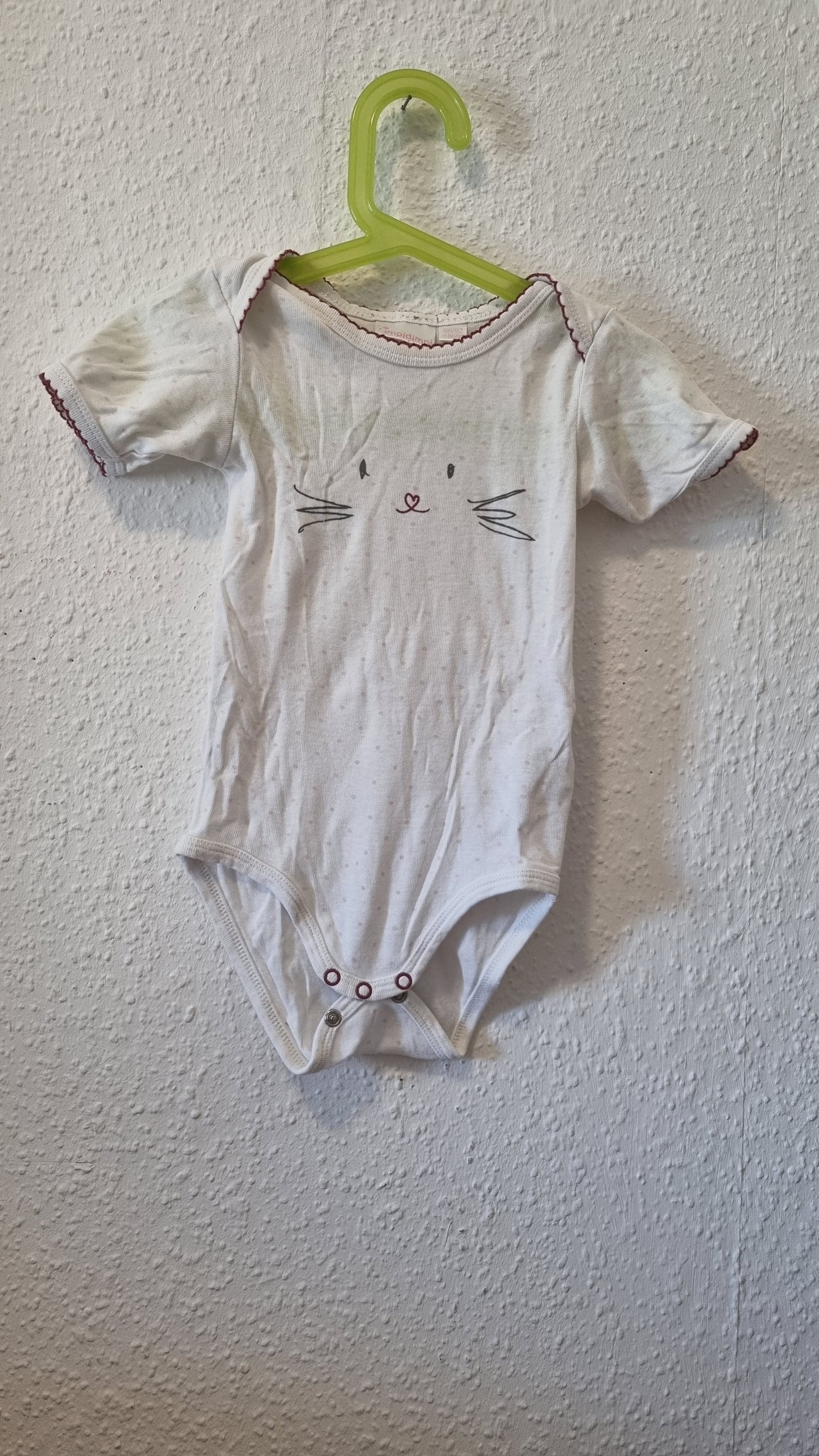Katzenbody