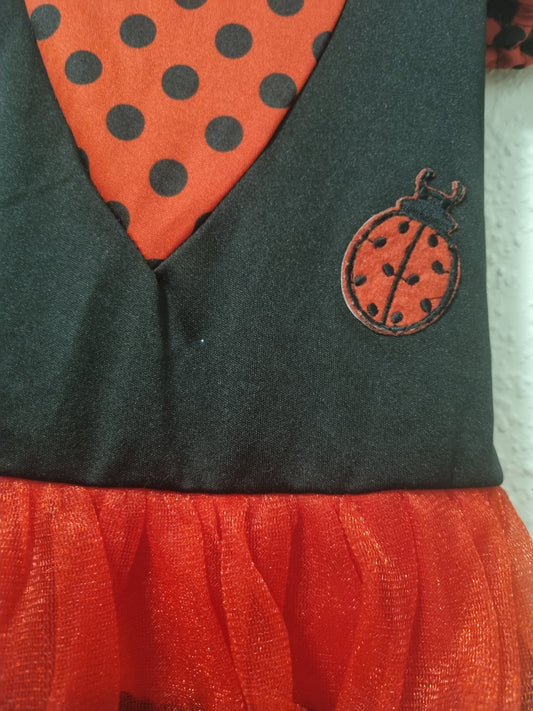 Marienkäfer Kleid