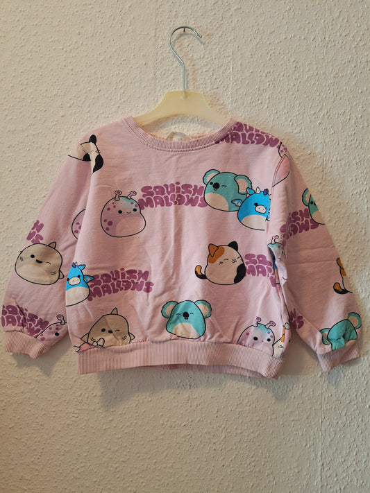 Pullover Squish