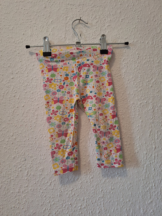 Legging Butterfly 74